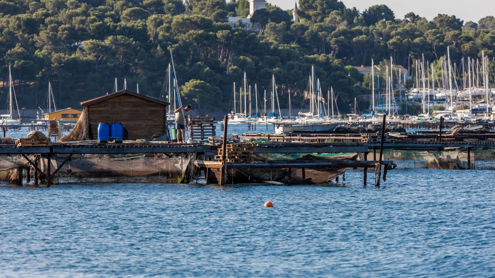 Baie du Lazaret - Cruise Friendly - Var Provence Cruise Club